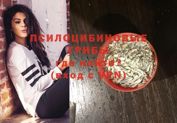 мдпв Михайлов