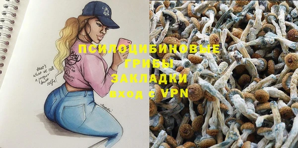 мдпв Михайлов