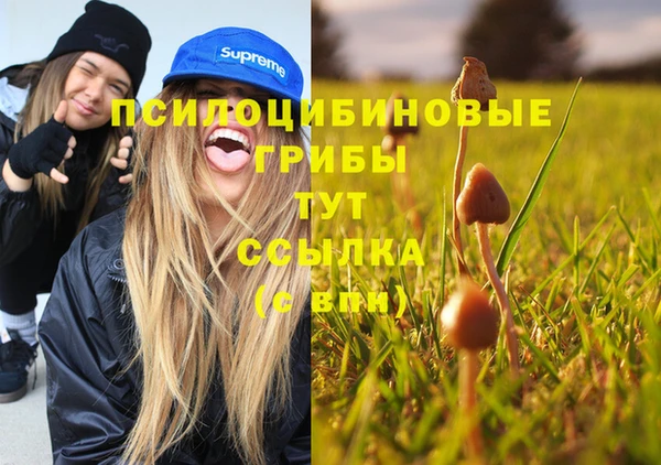 MESCALINE Михайловск